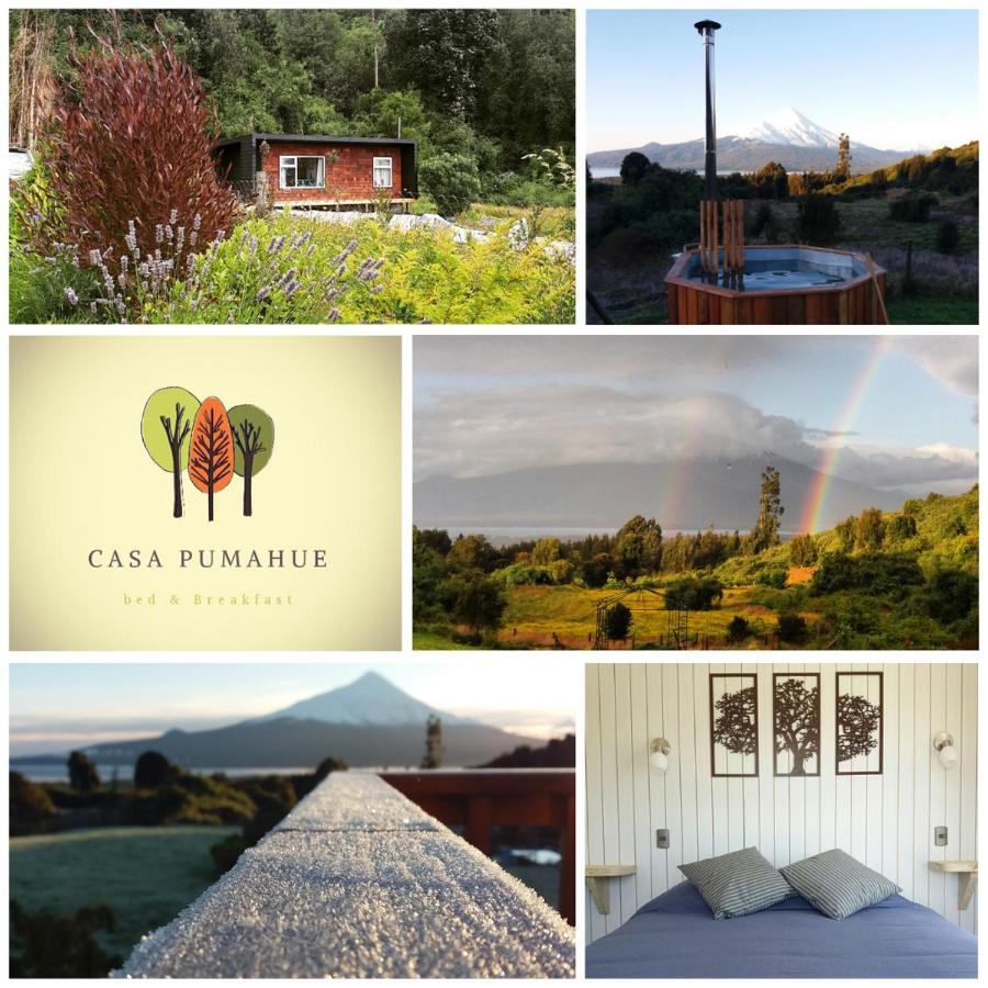 ラ・エンセナダ Casa Pumahue Bed & Breakfast エクステリア 写真