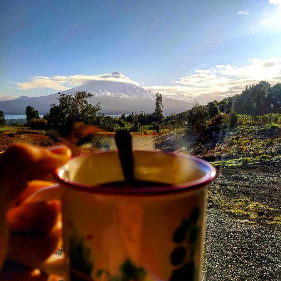 ラ・エンセナダ Casa Pumahue Bed & Breakfast エクステリア 写真